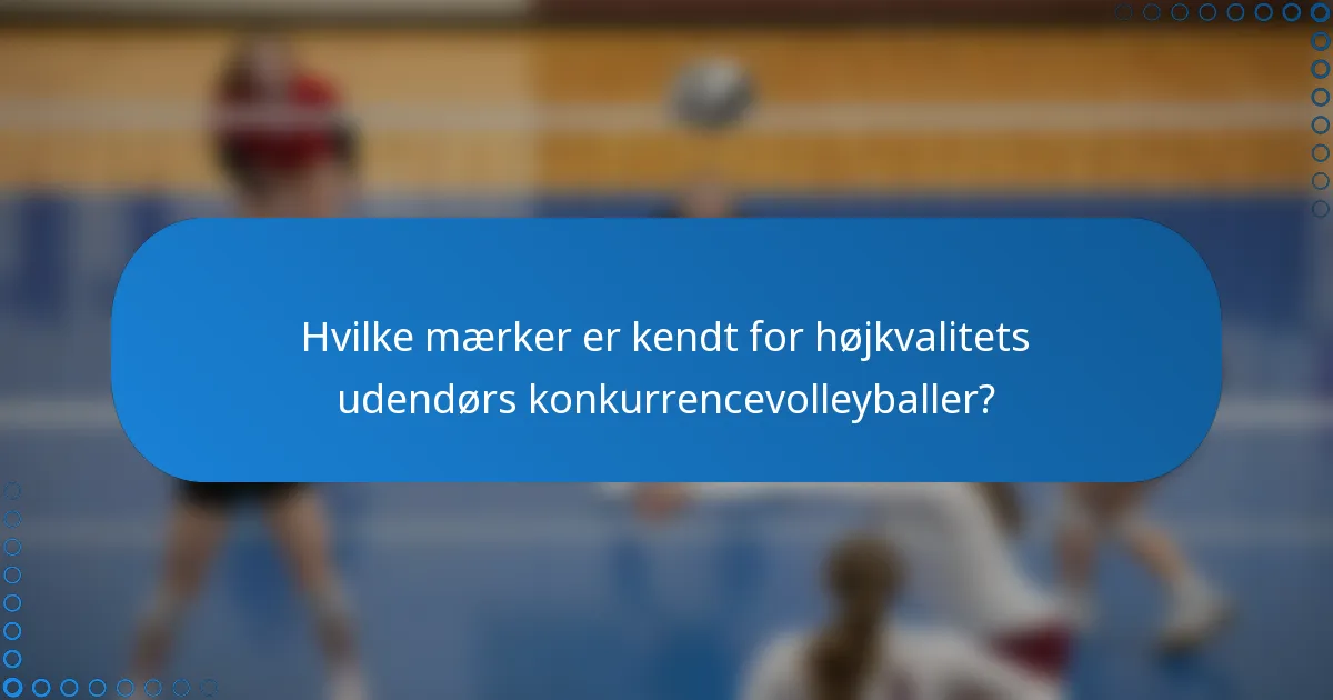 Hvilke mærker er kendt for højkvalitets udendørs konkurrencevolleyballer?