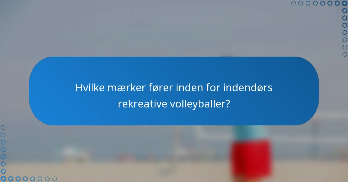 Hvilke mærker fører inden for indendørs rekreative volleyballer?