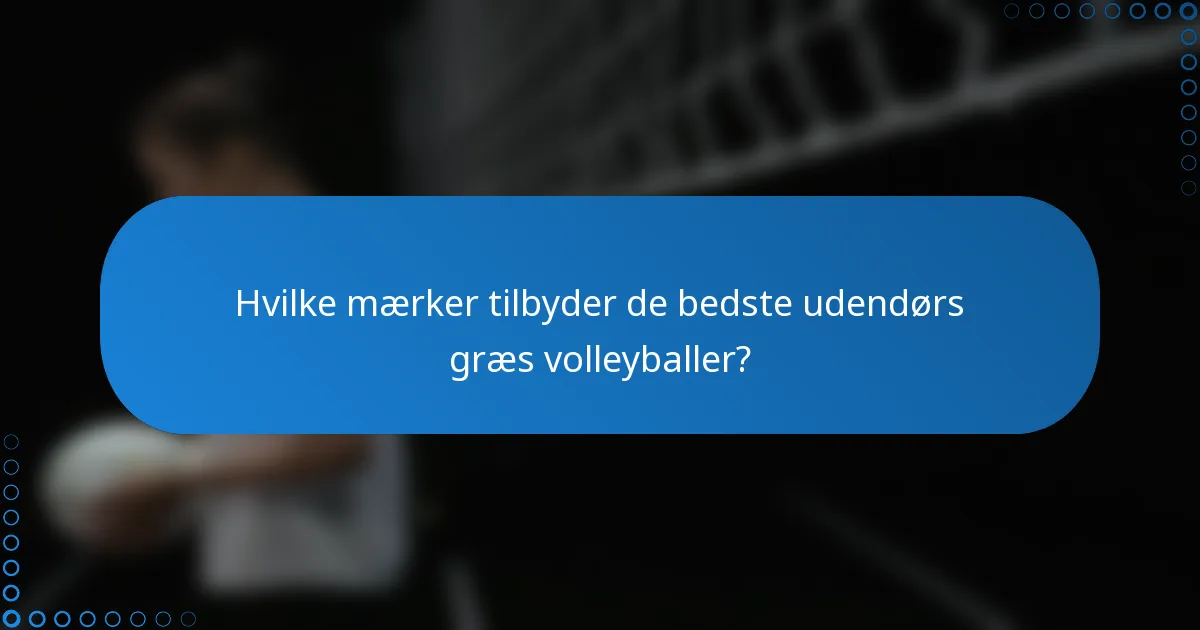 Hvilke mærker tilbyder de bedste udendørs græs volleyballer?