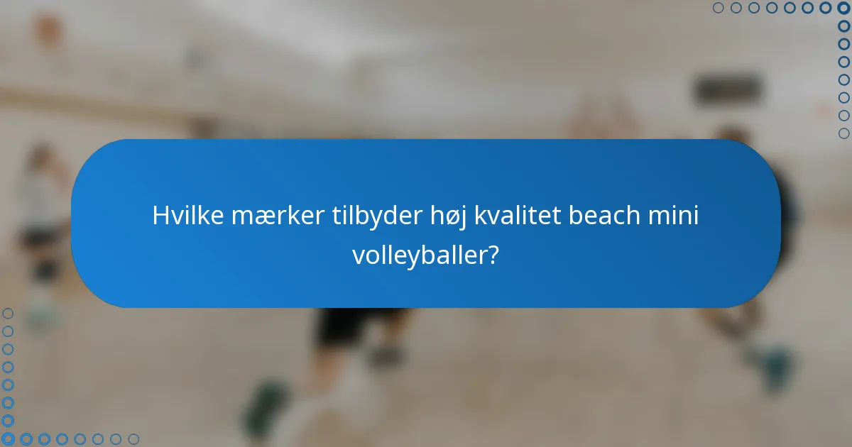Hvilke mærker tilbyder høj kvalitet beach mini volleyballer?