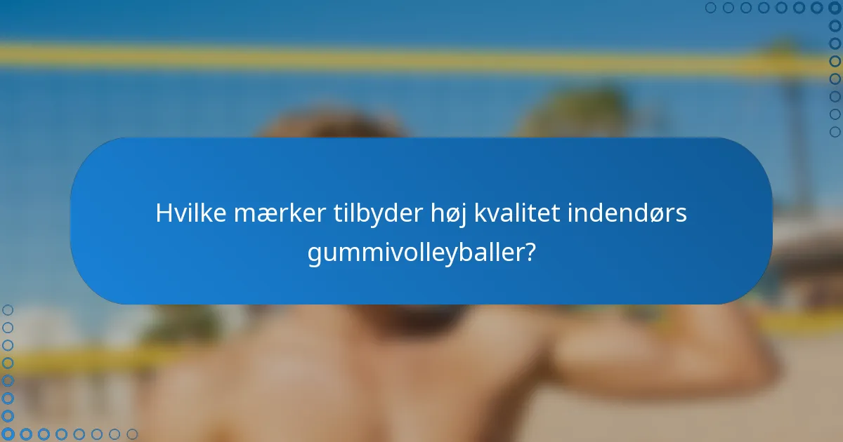 Hvilke mærker tilbyder høj kvalitet indendørs gummivolleyballer?